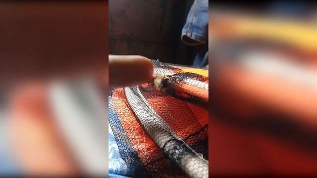 Природные Чудеса в 4K