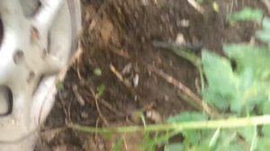 Заброшенная ВАЗ 2104 обзор экстерьер