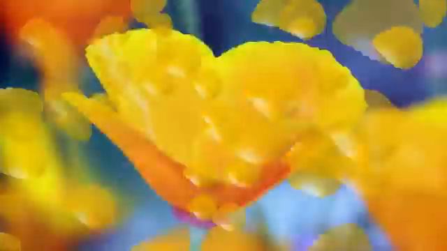 TFT Vs AMOLED Vs Super AMOLED Display - Samsung - Technology-Update.us