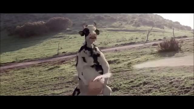 Mooo смотреть онлайн