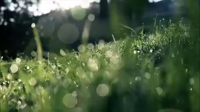 Жених скрывал, что воспитывает ребенка-инвалида. Я отменила свадьбу, его семья стала поливать грязь смотреть онлайн