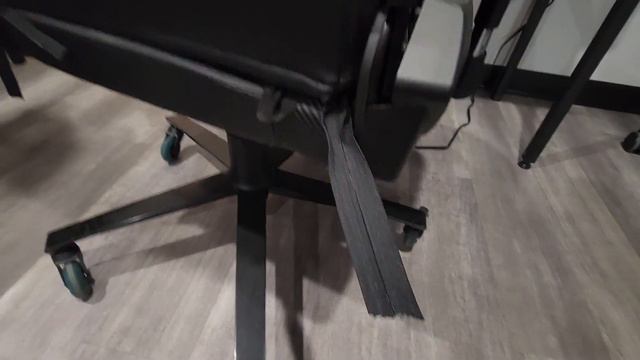 Trying Secretlab Chair Skin on Titan 2017