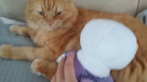 Влог с Басиком и Лили–БАСИК ИДЁТ НА ДЕНЬ РОЖДЕНИЕ ДРУГА?🥳