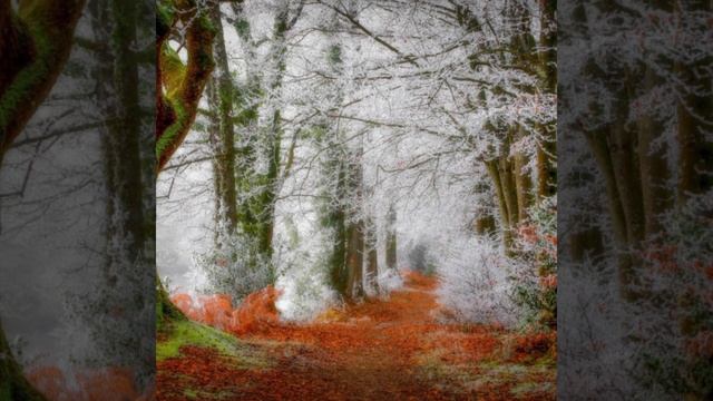 Slideshow__294_20230120_OS5jjl.mp4