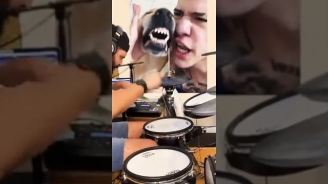 Собака улыбака поет! #shorts смотреть онлайн