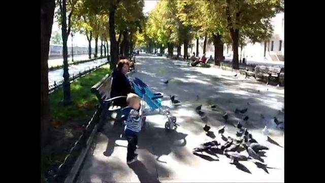 старый воробей смотреть онлайн