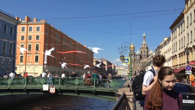 Журавли в небе над Питером! смотреть онлайн