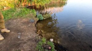 Рыбалка на рязанской ГРЭС, приятного просмотра!