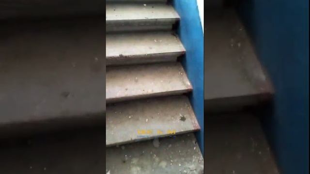 В Северске ВСУшники и мародеры из местных обносят квартиры тех, кто уехал из города. смотреть онлайн