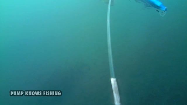 10 Minutes of Underwater Pike Strikes - Water Wolf Underwater Camera смотреть онлайн