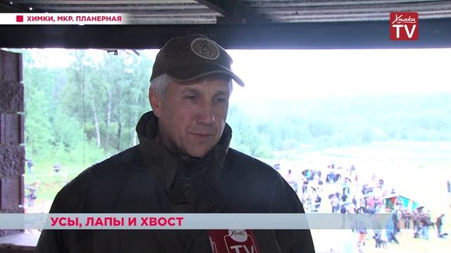 В микрорайоне Планерная прошла 123 областная выставка охотничьих собак