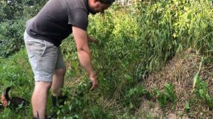 Вечный диск для триммера который косит и пилит все, даже деревья