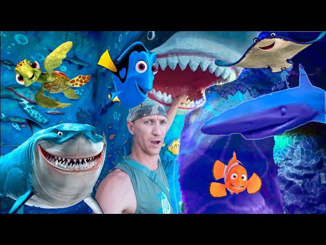 Часть 4. ОТДЫХ НА МОРЕ. СПАСАЕМСЯ ОТ "АКУЛ". ГУЛЯЕМ В ПАРКЕ СКАЗОК, ОКЕАНАРИУМ г. ГЕЛЕНДЖИК 2025 смотреть онлайн