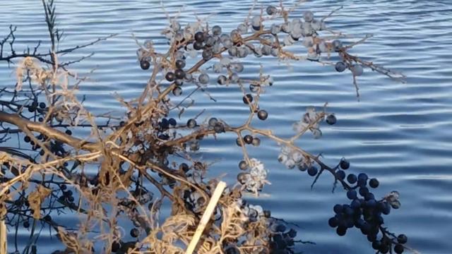 Вечерняя коротенькая прогулка со спиннингом по берегу реки Понура смотреть онлайн