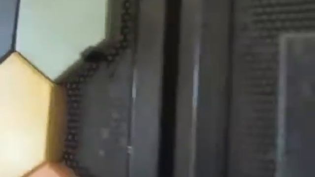 Цветная тротуарная плитка смотреть онлайн