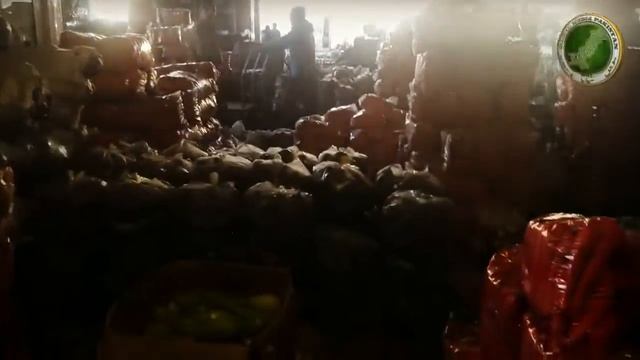 Meyvali Bazar Is The Biggest Wholesale Market Of Fruits And Vegetables In Baku Azerbaijan Part 5