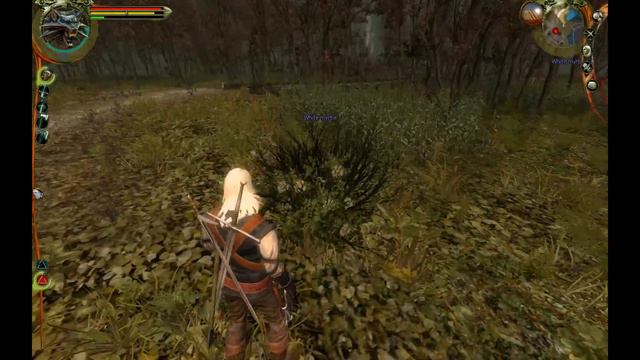 Let's Play: The Witcher #35 "Ok, a REAL Willie Nelson Moment" смотреть онлайн