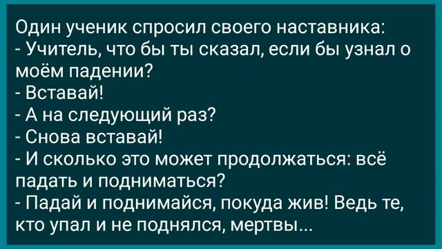 Кум с Кумой на Даче! Сборник Свежих Анекдотов! Юмор! смотреть онлайн