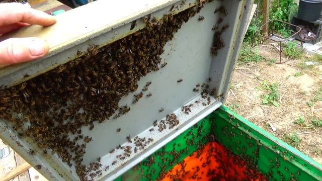 Семья отрутневела выход смотреть онлайн