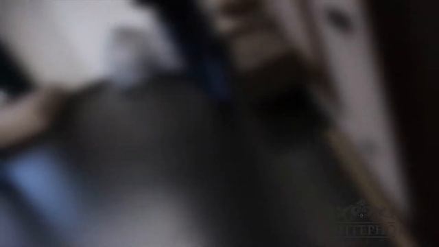 Отделка потолка шпонированными панелями смотреть онлайн