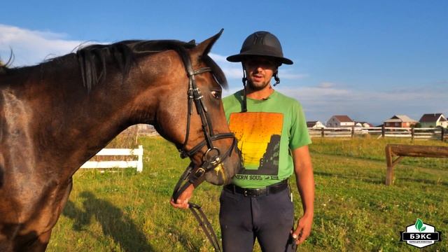 Отзыв о подкормке ИММУНО POWER для лошадей от Андрея Лойко. Гранулированные корма БЭКС для .животны смотреть онлайн