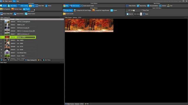 Fast Video Cataloger 8 - Layouts and Views - Tutorial 2 смотреть онлайн