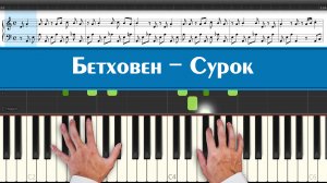 Бетховен - Сурок (красивая мелодия из детства, которой более 300 лет играем на пианино для детей)