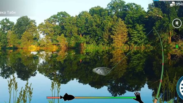 Как и где ловить#Щука обыкновенная#my fishing world смотреть онлайн