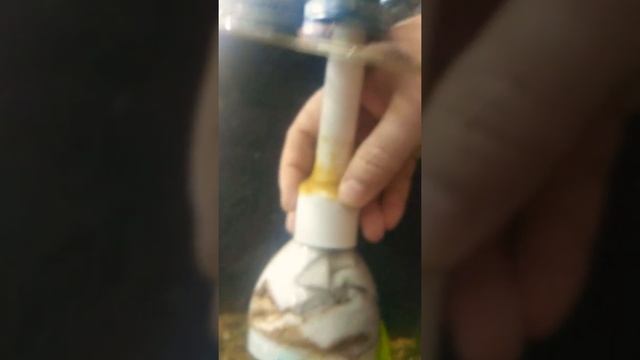 Сифон для чистки грунта своими руками (аквариумный пылесос) смотреть онлайн