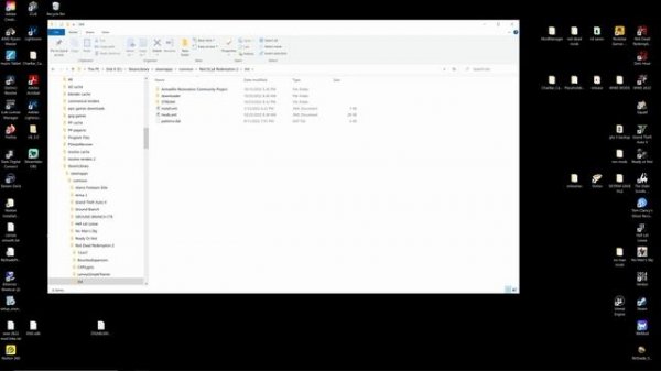 How to install LENNYS MOD LOADER & SCRIPTHOOK + cowgirls mod -red dead redemption 2