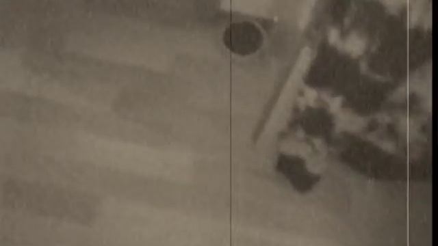 Black Hairy Pussy In Action!