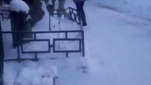 Зоопарк смотреть онлайн