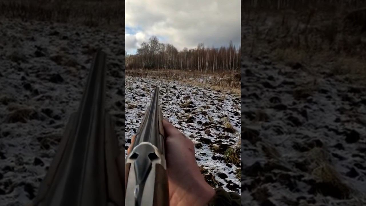 О какой ЗАЙЧИЩЕ, добрал подранка… #охота #shorts #охотаназайца смотреть онлайн