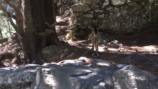 Остров Крит. ГРЕЦИЯ ??. Самарийское ущелье. Стоит ли ? смотреть онлайн