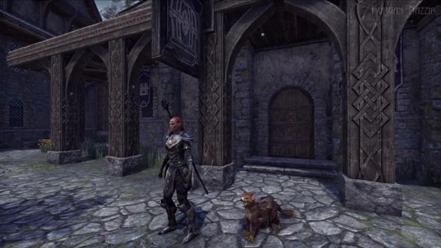 The Elder Scrolls Online (Stadia) - Fledgling Gryphon idle animations смотреть онлайн