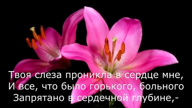 Алексей Апухтин - Твоя слеза смотреть онлайн