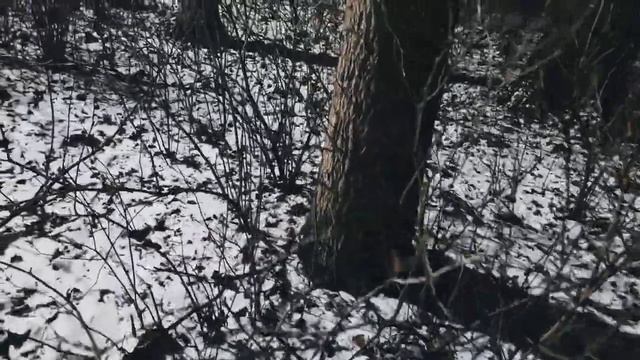 VID 20221130 213426 Демон 1908 (А. Белый)...Павел Васильев Лахтинский смотреть онлайн