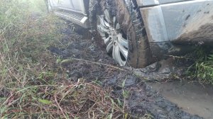 15 августа 2022 г.