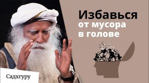 Перестань забивать голову мусором