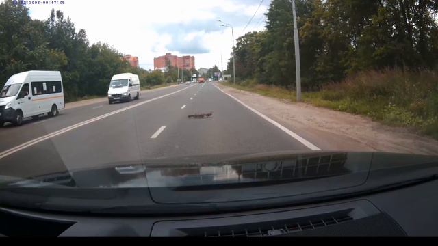 Мама утка переводит детей через дорогу смотреть онлайн