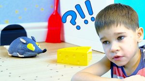 Дома завелась МЫШЬ!