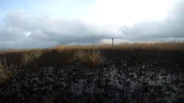 На квадрике по болоту после пожара смотреть онлайн