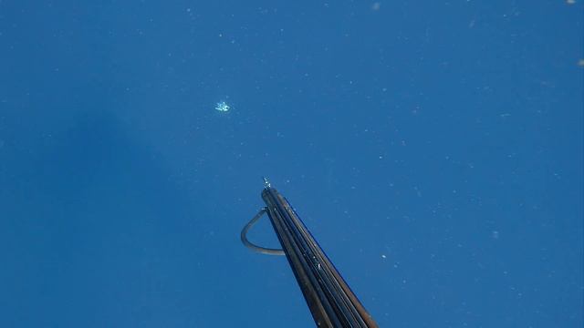 Spearfishing Marlin & Fighting AGGRESSIVE Sharks смотреть онлайн