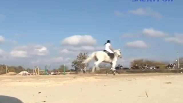 Свежий воздух, высокие прыжки и скорость. смотреть онлайн