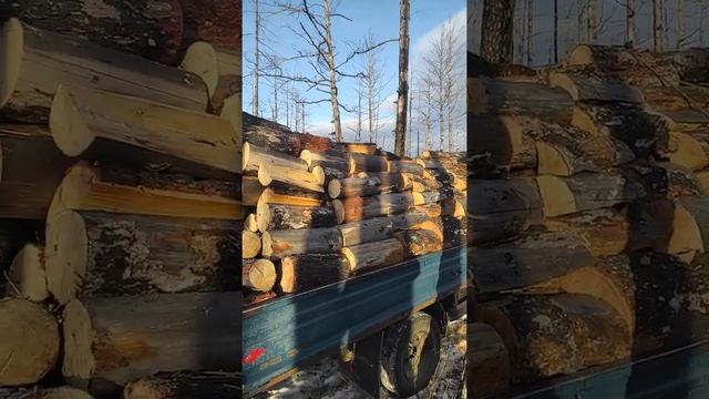 дрова горбыль сухой смотреть онлайн