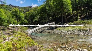 Гидаят - Дурашан 2024