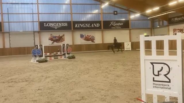 Cortez FZ, geb 2018 von Cornet Obolensky-Canturano смотреть онлайн