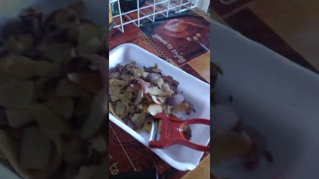 Сегодня готовлю на обед Камбалу и кортофель!... ?? смотреть онлайн