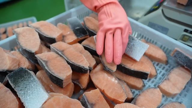 Salmon Fish Cutting & Salmon Donburi Making! / 鮭魚加工, 鮭魚丼飯 - Taiwanese Food Factory