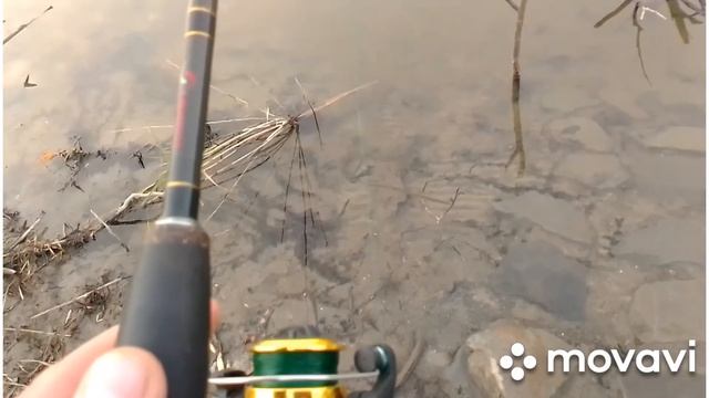 Заключительная рыбалка в этом сезоне на корочанском водохранилище смотреть онлайн